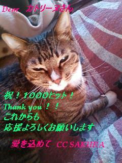1000hit card(fromCC SAKURA-san).jpg