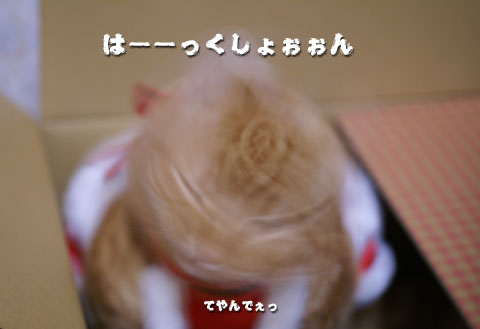 2008サンタガール（くしゃみ顔）.jpg