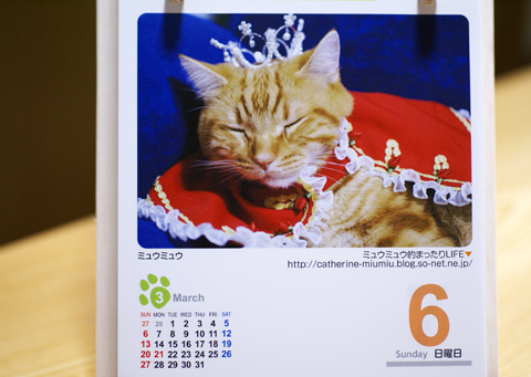 2011猫友カレンダー1.jpg