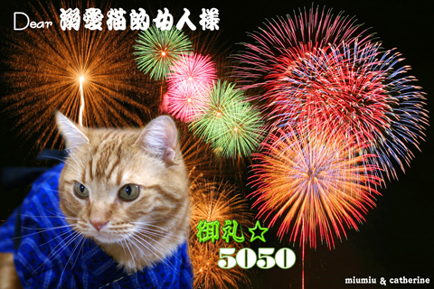 5050nice card(to溺愛猫的女人様）.jpg
