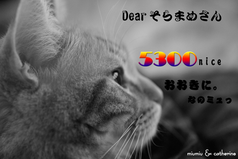 5300nice card(toそらまめさん）.jpg