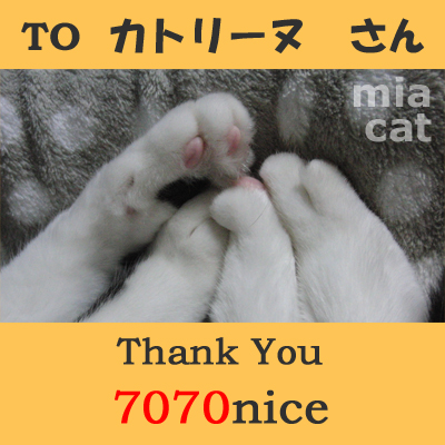7070nice card(from miacat-san).jpg