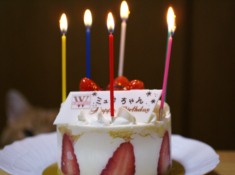 Birthday cake(6 years old).jpg