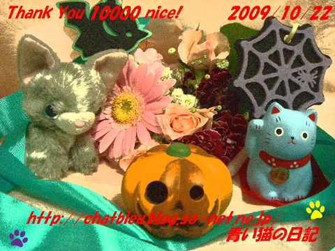 ChatBleu_10000nice card.jpg
