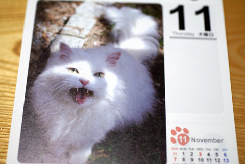 猫友カレンダー2010みゅう.jpg