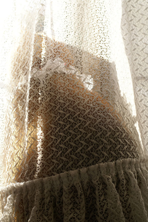 窓辺の怪猫.jpg