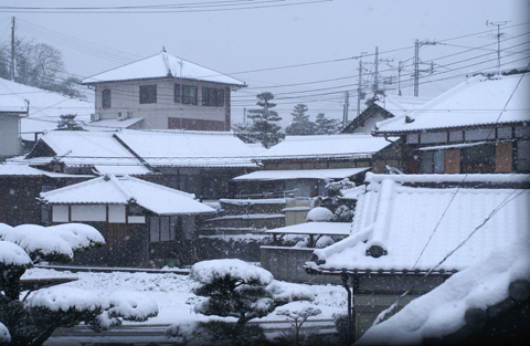 雪景色20110211.jpg