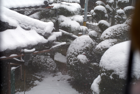 雪景色とミュウ2011-10.jpg
