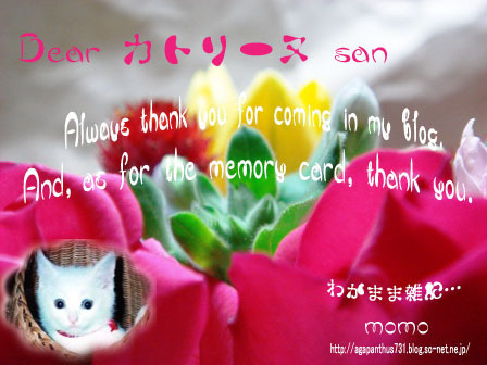 thank you card(from momo-san).jpg